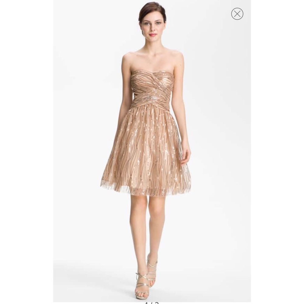 Elegant Champagne Adrianna Papell Dress!